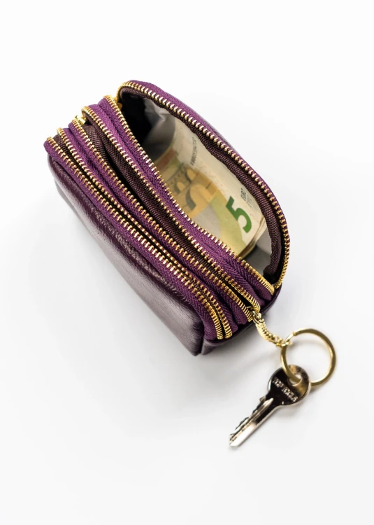 Skórzana kluczówka Peterson z miejscem na banknoty i dokumenty